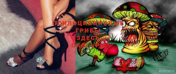 кокаин Богданович