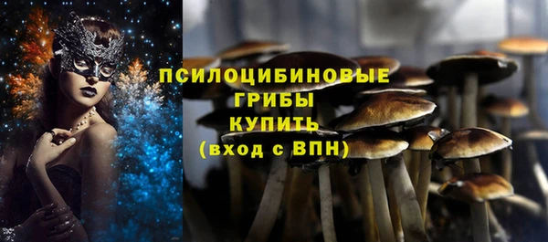 кокаин Богданович