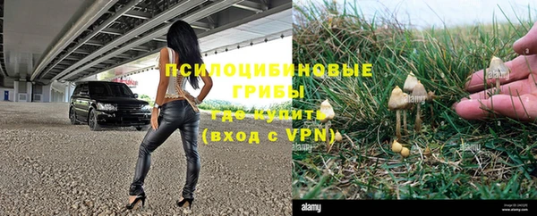 кокаин Богданович