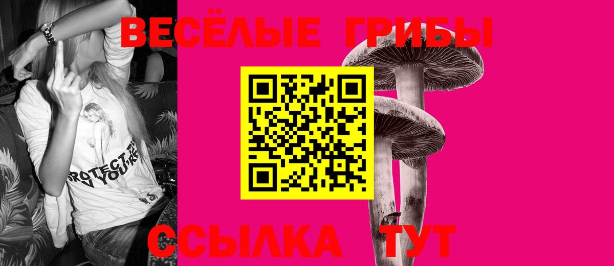 Галлюциногенные грибы ЛСД Острогожск