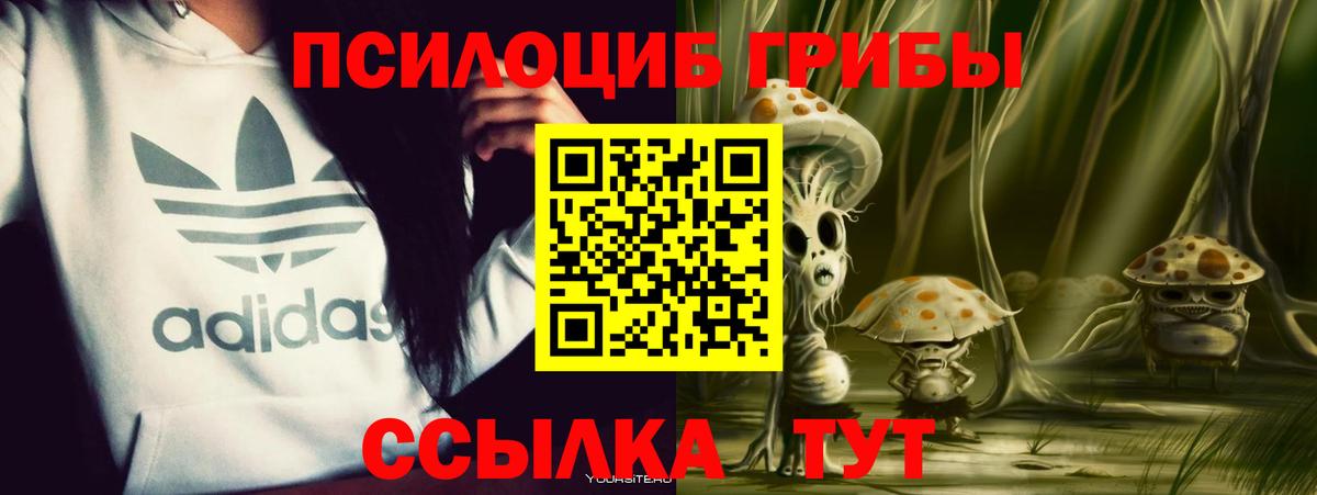 Галлюциногенные грибы MAGIC MUSHROOMS  Вход с VPN  Острогожск  Галлюциногенные грибы GOLDEN TEACHER 